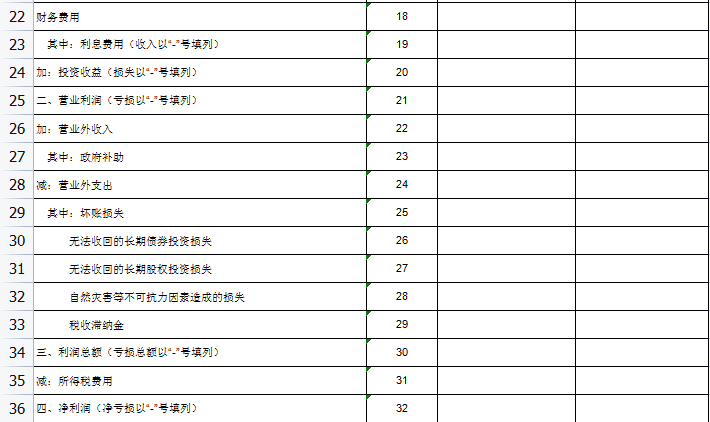 小规模资产负债表表格