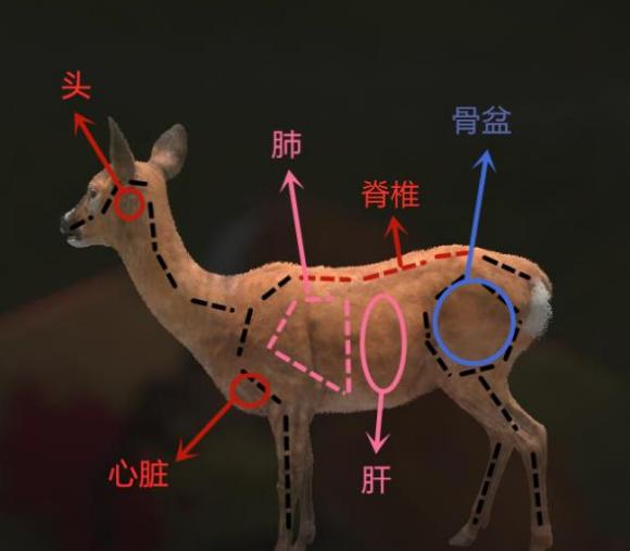 猎人荒野的<a href=https://cuel.cn/YOUXI/12940.html target=_blank class=infotextkey>召唤</a>破解版新人教学2