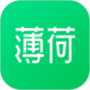 薄荷健康免费手机版  v8.1.9 