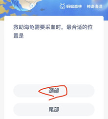 《支付宝》2022.10.25神奇海洋科普问答答案