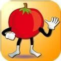 番茄先生手机版游戏