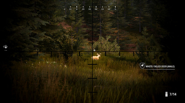 模拟狩猎2破解版狩猎攻略