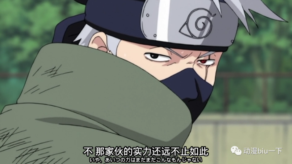 忍者中有多少“鼬吹”?