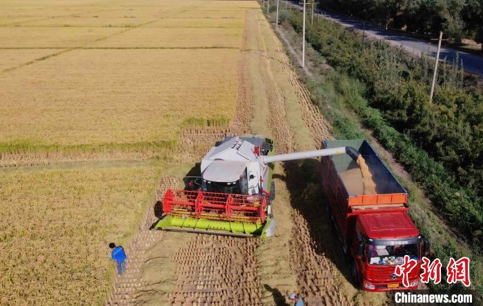 在2021年第二届国际米食味品鉴大会中国区总决赛中,阿拉尔市被列为全国十大优质大米产区。 王诚 摄 在2021年第二届国际米食味品鉴大会中国区总决赛中,阿拉尔市被列为全国十大优质大米产区。 王诚 摄