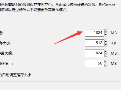 BitComet提速方法截图7