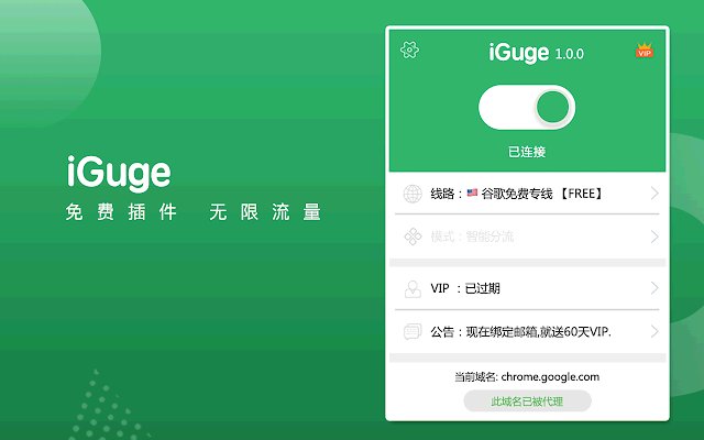 igg谷歌访问助手插件v2.0.2 官方版(1)