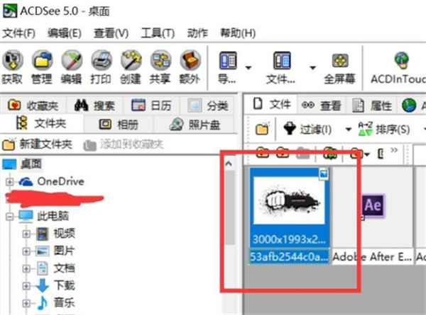 acdsee5.0常见问题截图1